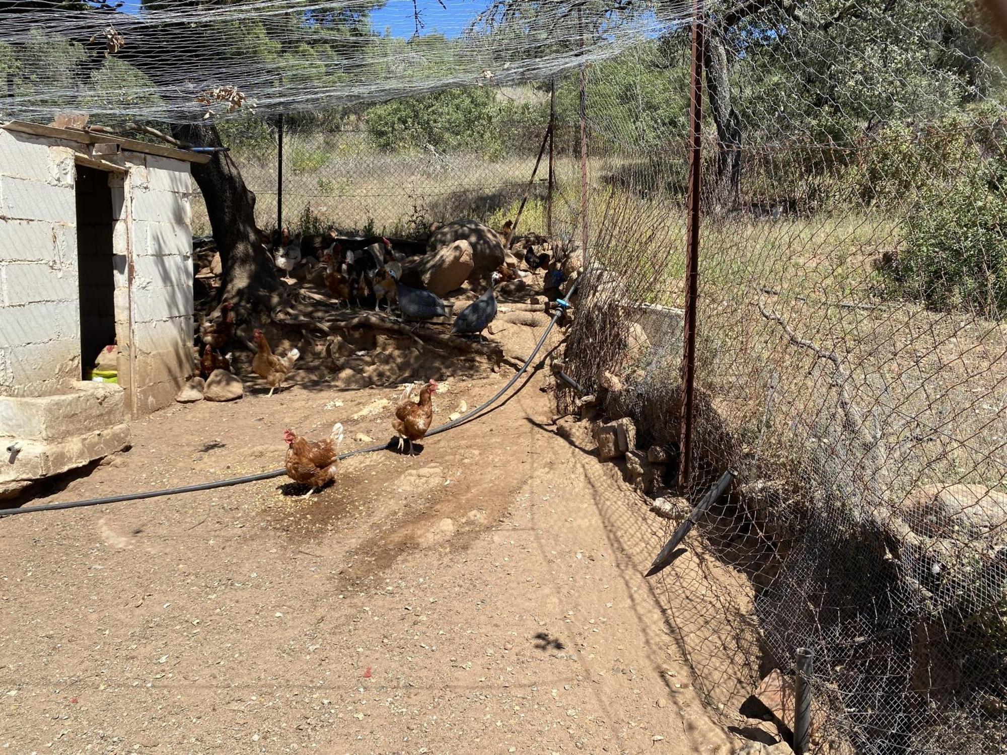 Las Chorreras Del Orejon 2 Villaviciosa de Córdoba Exterior foto