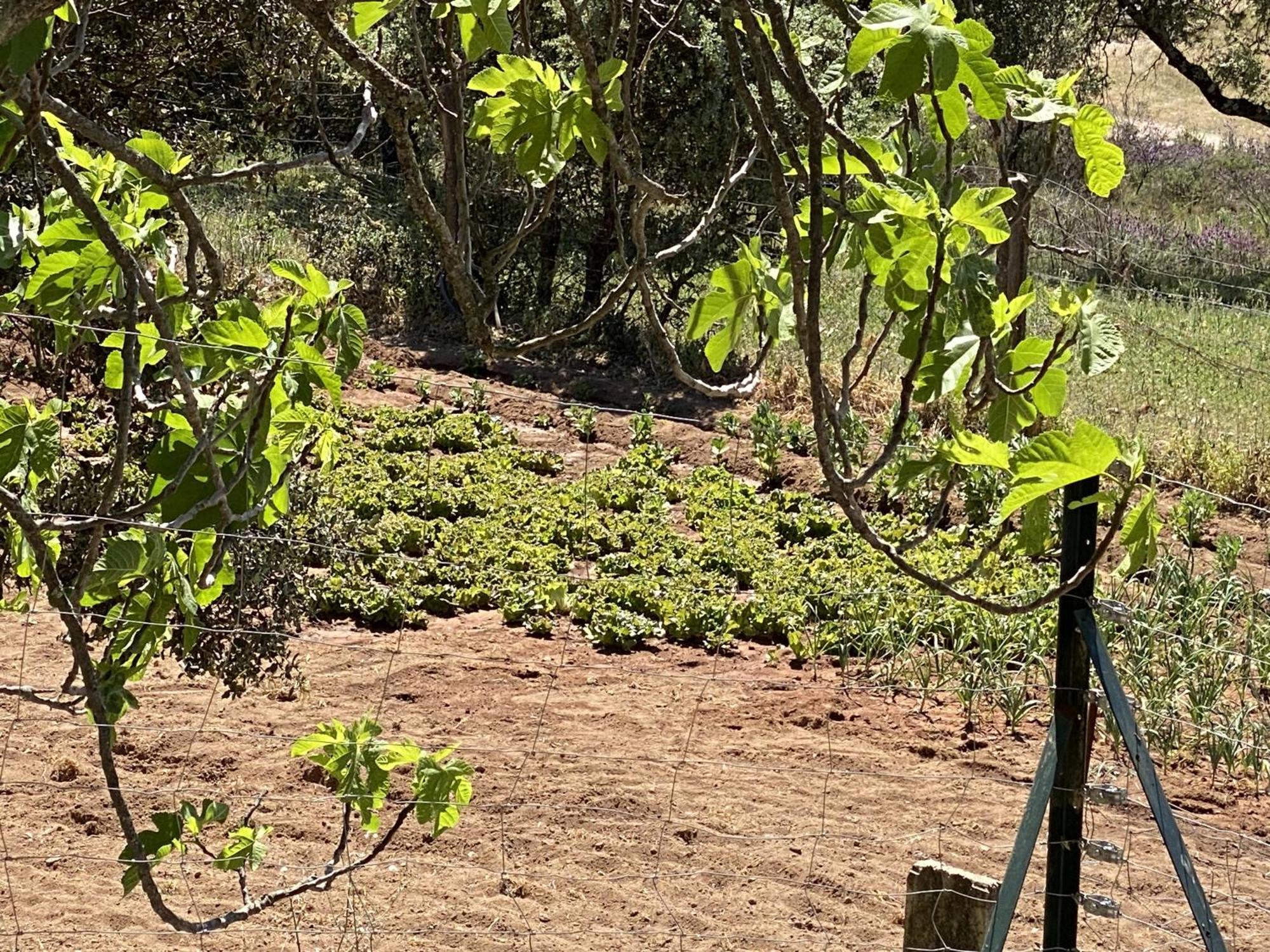 Las Chorreras Del Orejon 2 Villaviciosa de Córdoba Exterior foto